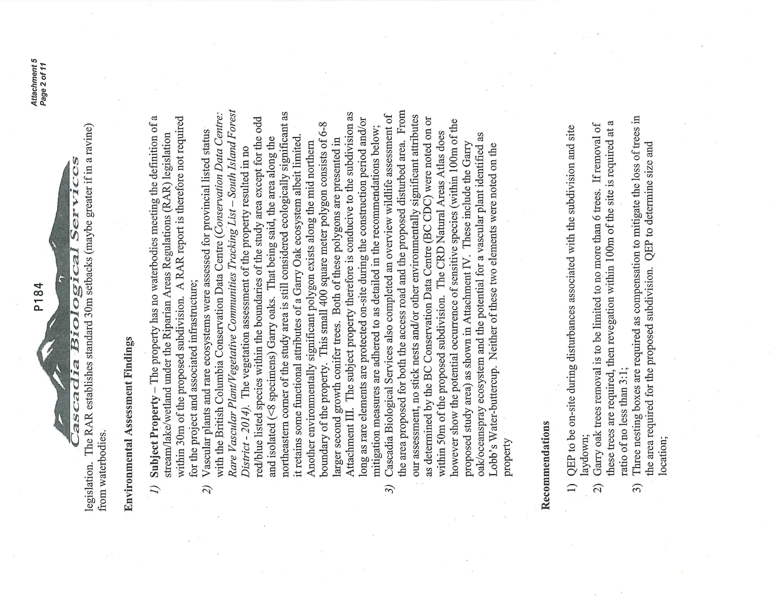 Document image