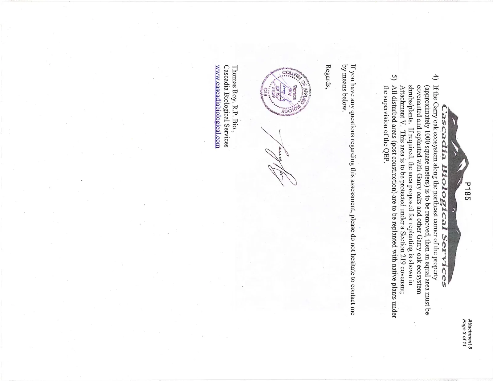 Document image
