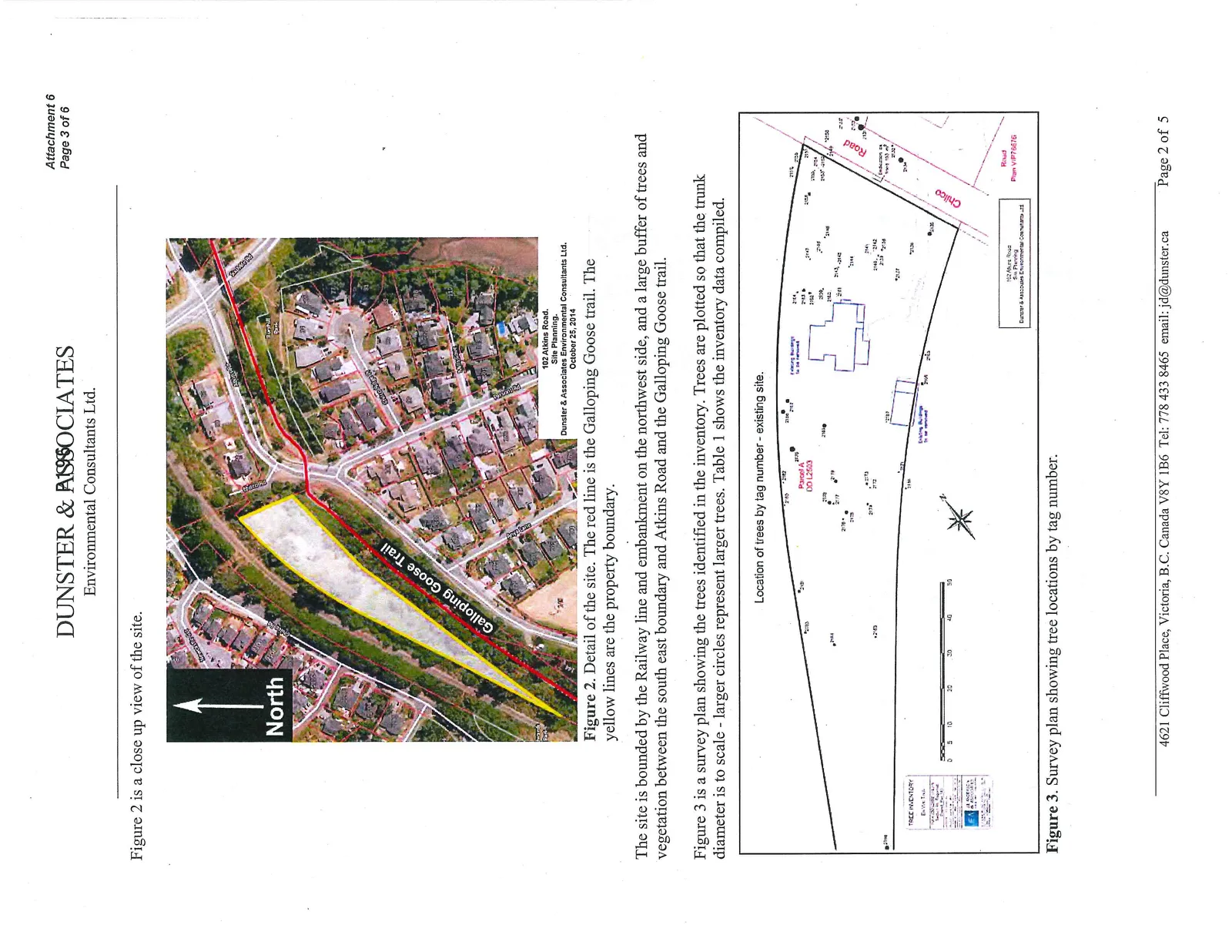 Figure 2. Detail of the site. The red line is the Galloping Goose trail. The yellow lines are the property boundary.
