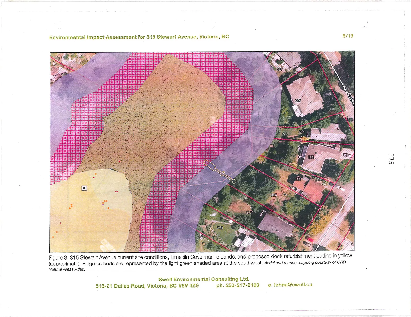 Figure 3. 315 Stewart Avenue current site conditions, Limekiln Cove marine bands, and proposed dock refurbishment outline in yellow (approximate). Eelgrass beds are represented by the light green shaded area at the southwest. Aerial and marine mapping courtesy of CRD Natural Areas Atlas.