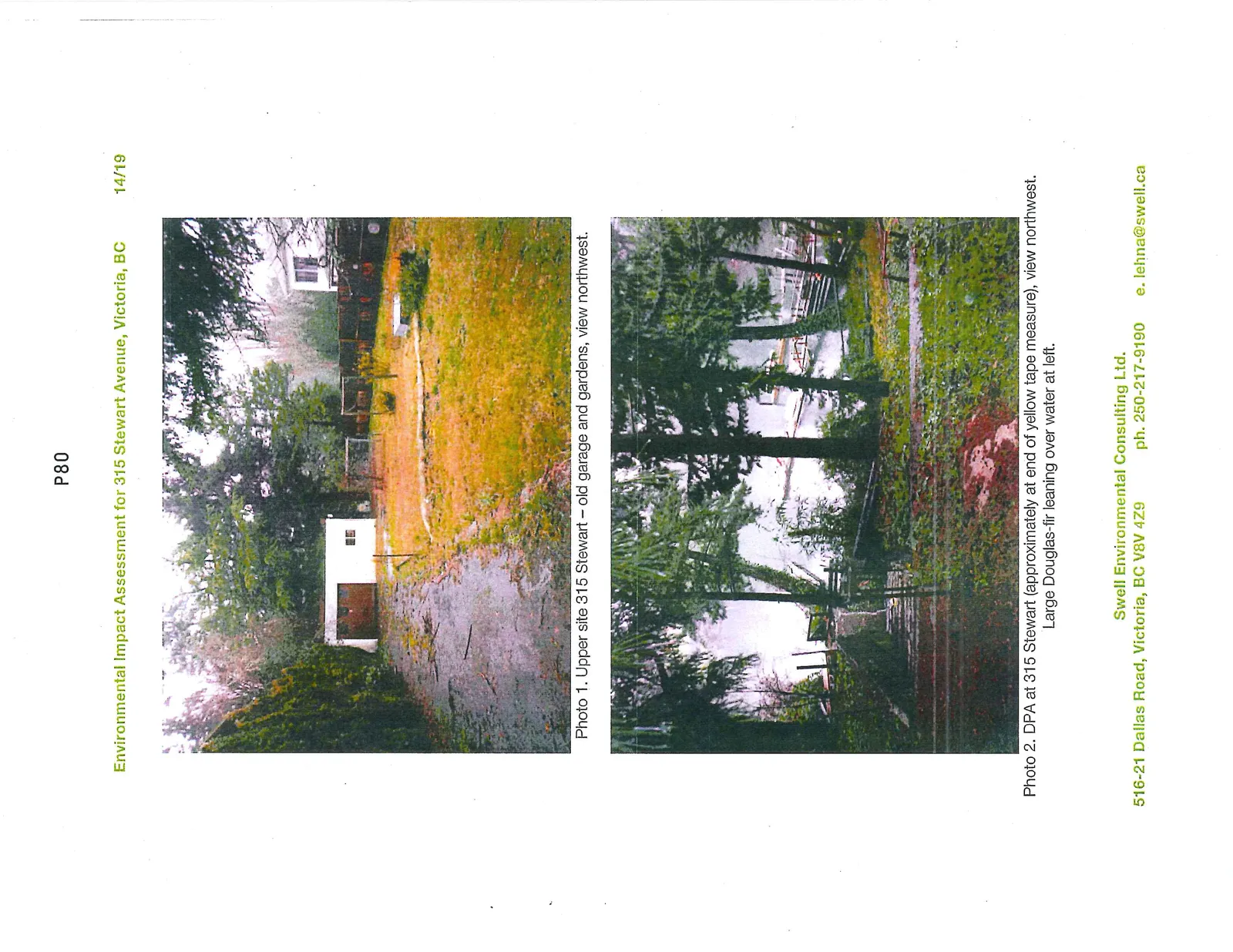 Photo 1. Upper site 315 Stewart – old garage and gardens, view northwest. Photo 2. DPA at 315 Stewart (approximately at end of yellow tape measure), view northwest. Large Douglas-fir leaning over water at left.