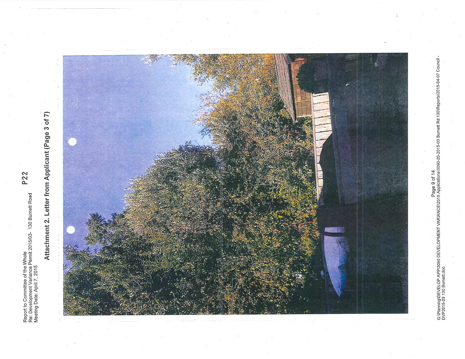 Photo of tall trees and dense foliage behind an existing wooden fence on the property
