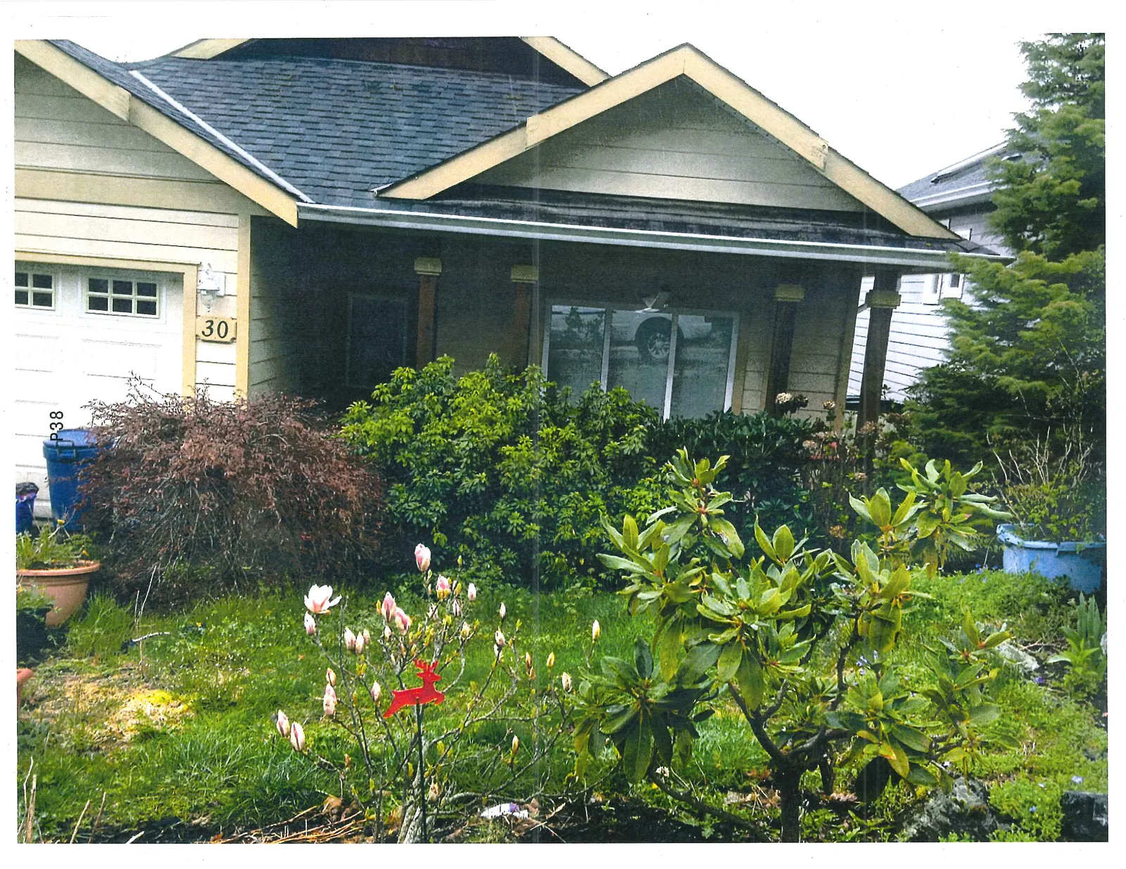 Front exterior view of a residential property at address 30, showing a landscaped front yard with a blooming magnolia tree, various shrubs, and a blue waste bin.