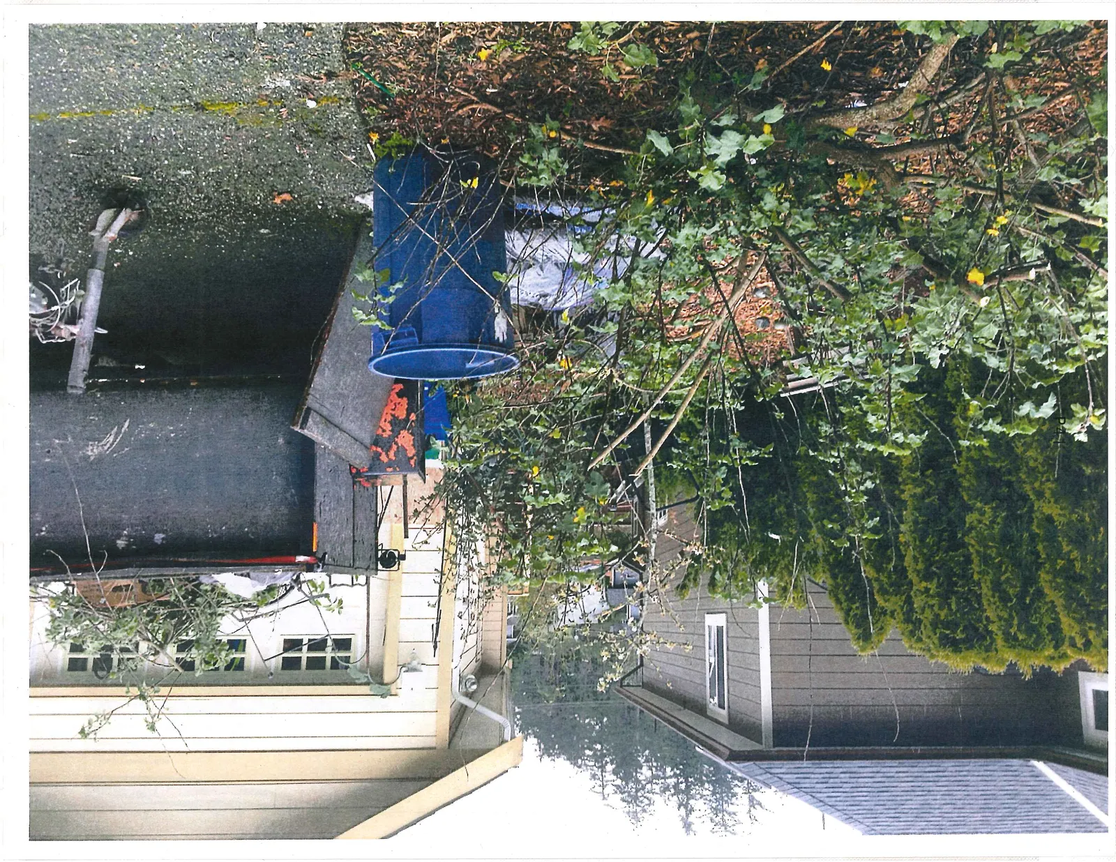 Side view of the property at address 30 showing dense vegetation, a blue waste bin, and the utility trailer parked in the driveway.