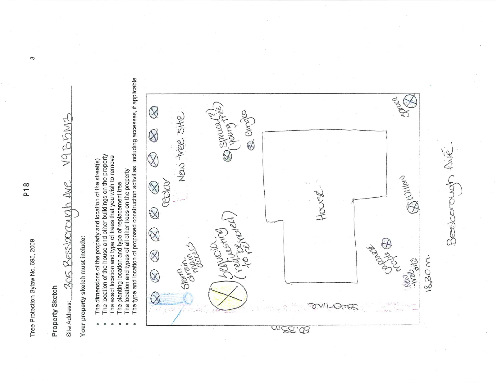 A hand-drawn property sketch for 305 Bessborough Ave. The diagram shows a property measuring 50.33m by 18.30m, bordered by Bessborough Ave. Features include a central house, a sewer line, and a storm drain main access. Various trees are marked, including a row of cedars, a willow, spruce trees, a gingko, and a Japanese maple. A sequoia is marked with "requesting to be removed." Two "new tree site" locations are indicated for replacement trees.