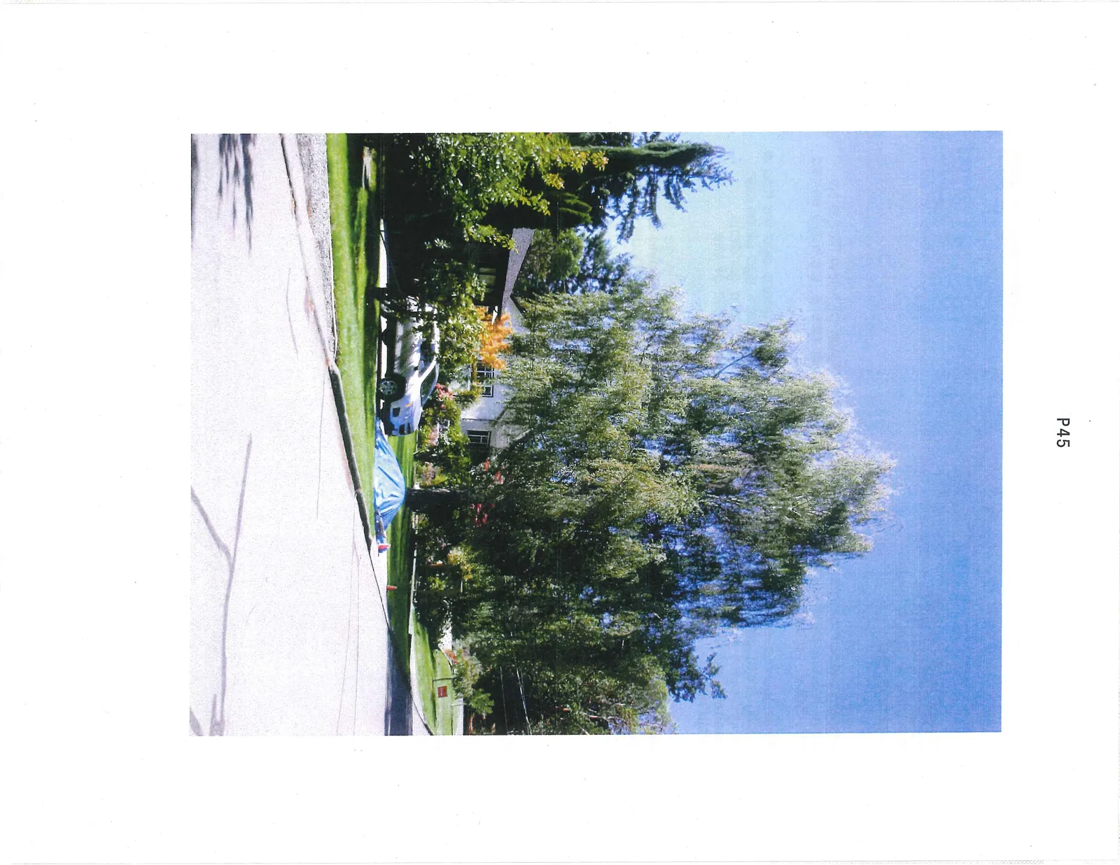 A color photograph of a residential street featuring a large, mature birch tree in the foreground. A white SUV is parked in a driveway to the left of the tree, partially obscured by smaller shrubs and a house. A blue tarp lies on the grass near the base of the tree. A paved road curves through the scene, and other houses and greenery are visible in the background under a clear blue sky.