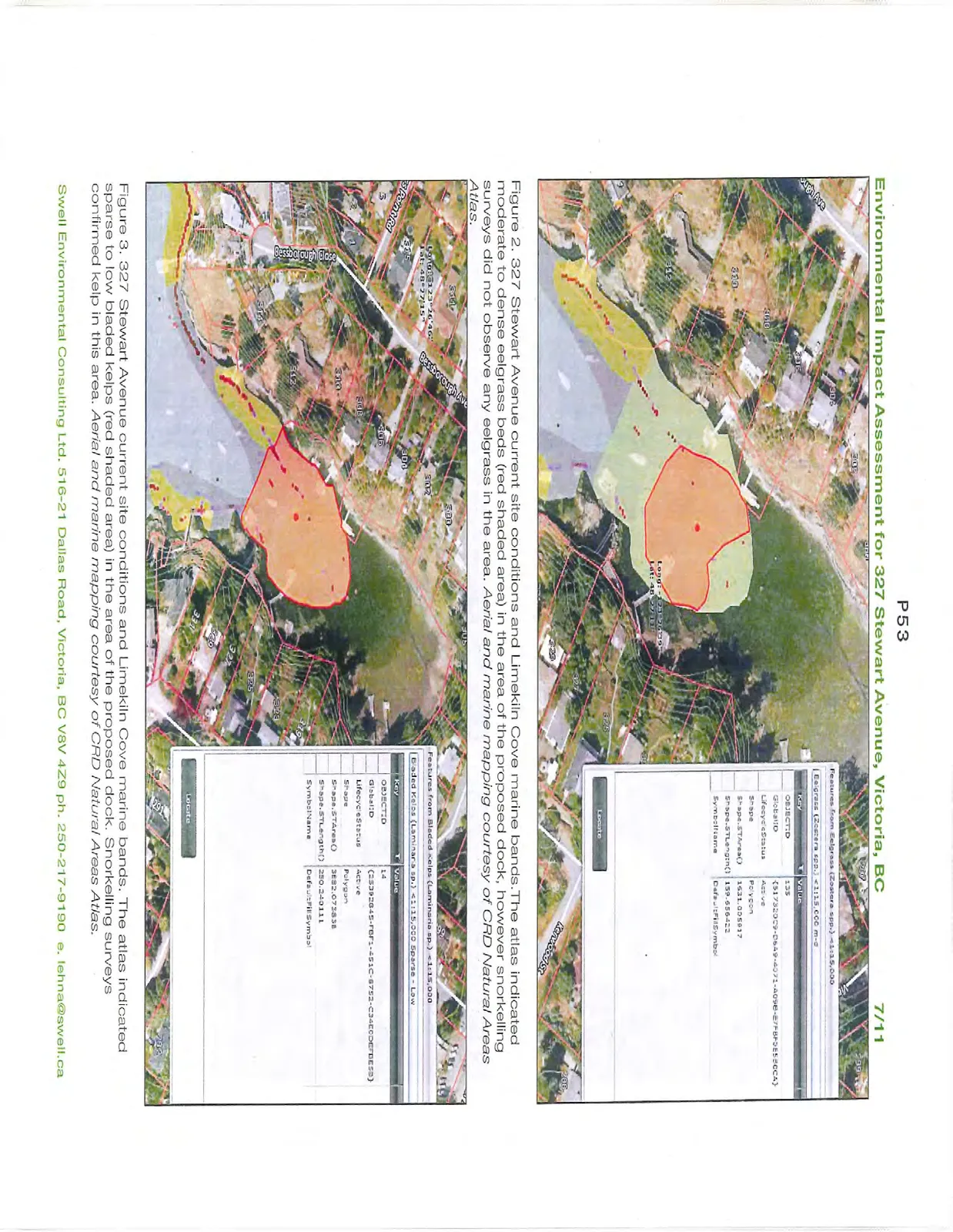 Figure 2. 327 Stewart Avenue current site conditions and Limekiln Cove marine bands. The atlas indicated moderate to dense eelgrass beds (red shaded area) in the area of the proposed dock, however snorkelling surveys did not observe any eelgrass in the area. Aerial and marine mapping courtesy of CRD Natural Areas Atlas. / Figure 3. 327 Stewart Avenue current site conditions and Limekiln Cove marine bands. The atlas indicated sparse to low bladed kelps (red shaded area) in the area of the proposed dock. Snorkelling surveys confirmed kelp in this area. Aerial and marine mapping courtesy of CRD Natural Areas Atlas.