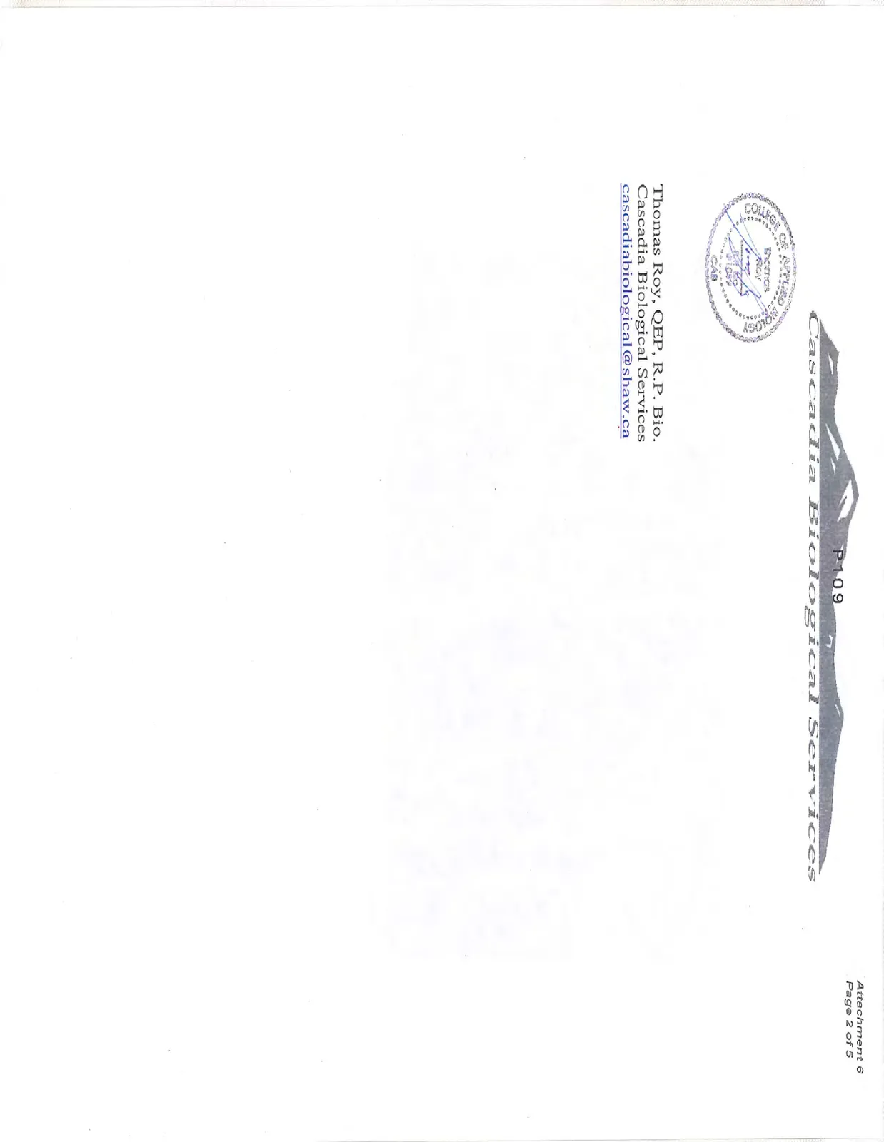 Document image