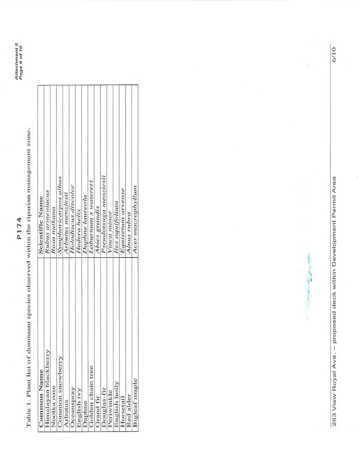 Document image