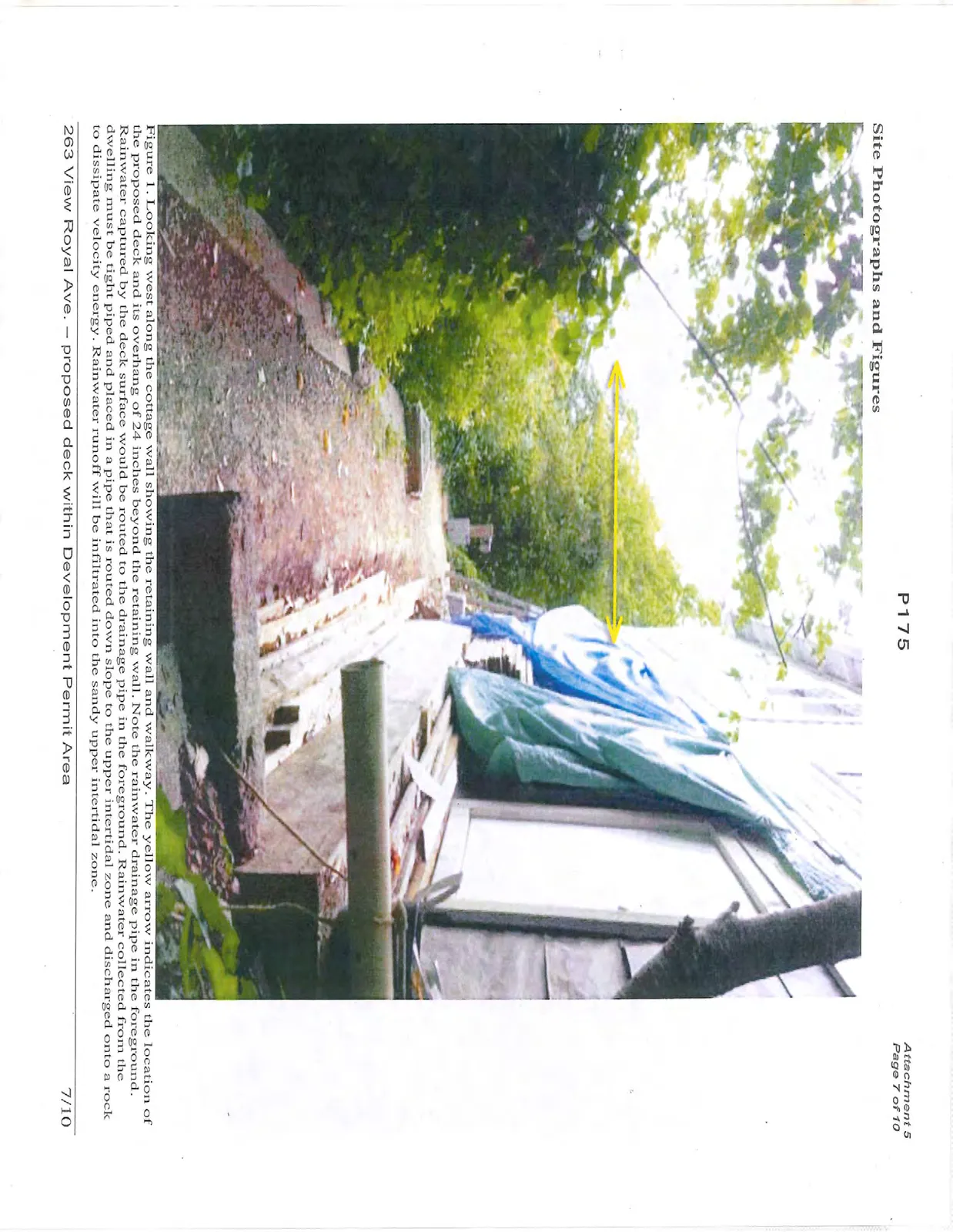 Figure 1. Looking west along the cottage wall showing the retaining wall and walkway. The yellow arrow indicates the location of the proposed deck and its overhang of 24 inches beyond the retaining wall. Note the rainwater drainage pipe in the foreground. Rainwater captured by the deck surface would be routed to the drainage pipe in the foreground. Rainwater collected from the dwelling must be tight piped and placed in a pipe that is routed down slope to the upper intertidal zone and discharged onto a rock to dissipate velocity energy. Rainwater runoff will be infiltrated into the sandy upper intertidal zone.
