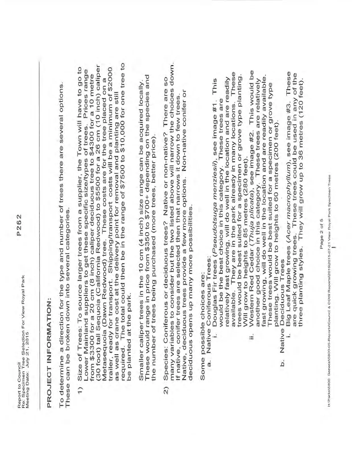 Document image