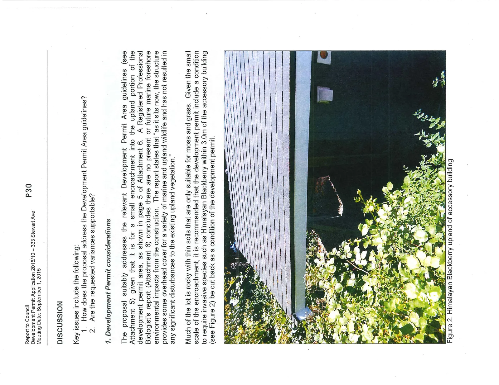 Figure 2. Himalayan Blackberry upland of accessory building