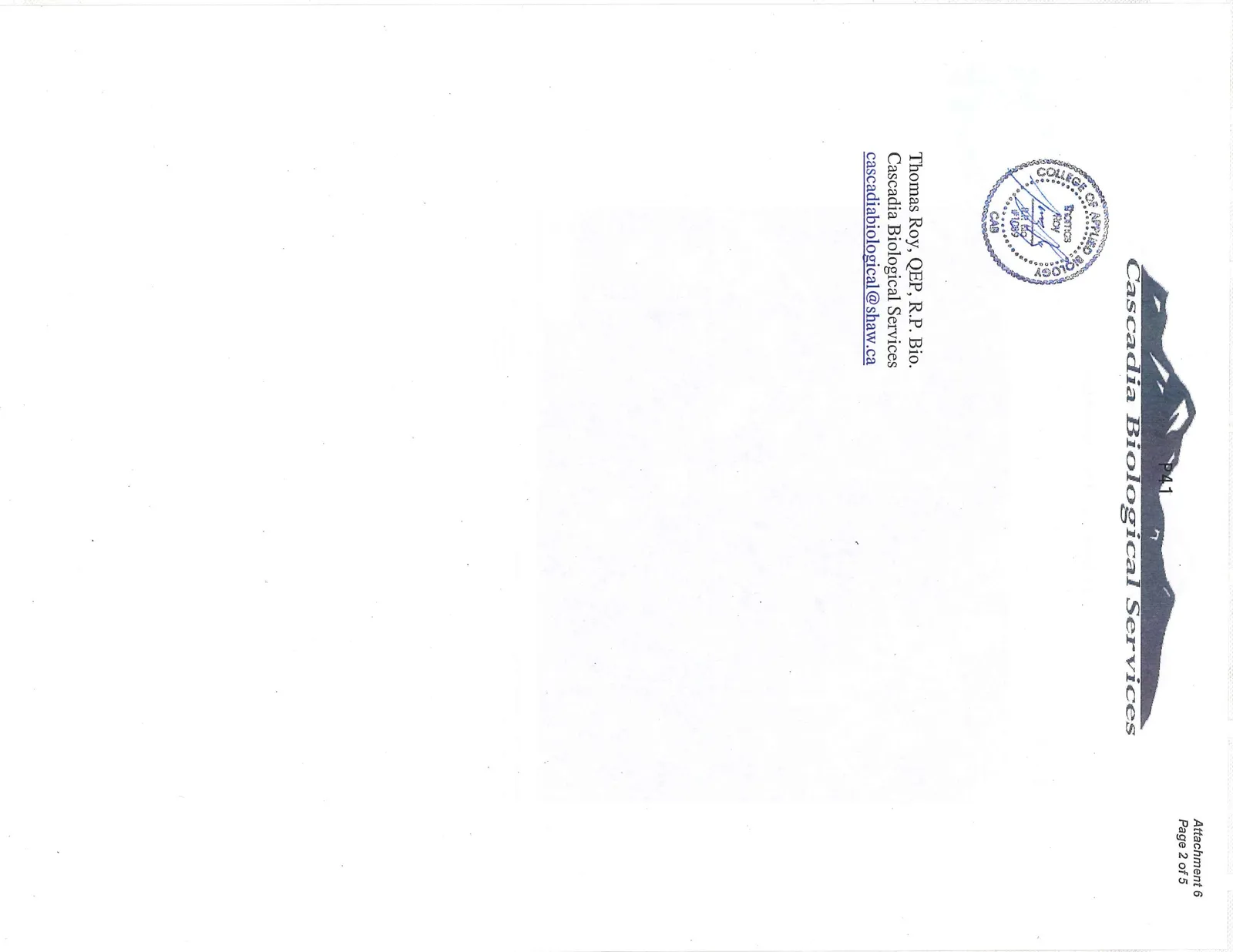 Document image