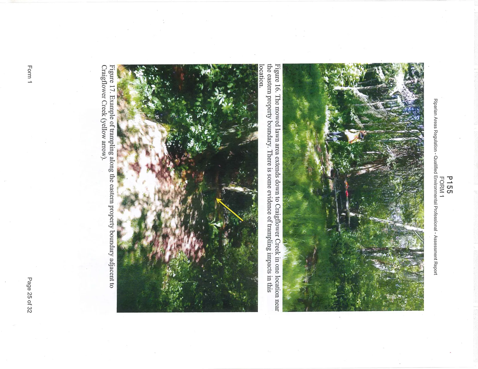 Photograph looking upstream from the north bank of Craigflower Creek showing modified banks.
