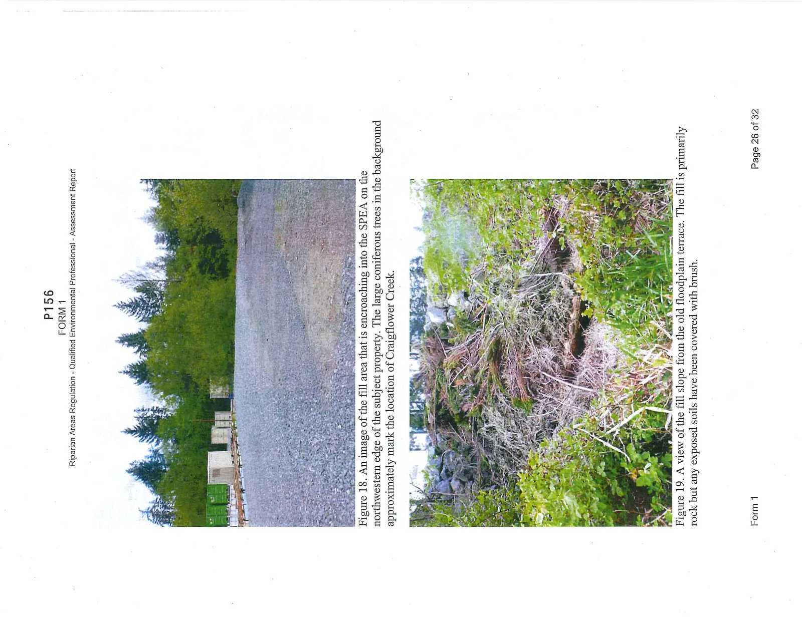 Photograph of a mowed floodplain terrace used for recreational space, with a wall of vegetation separating it from the creek.