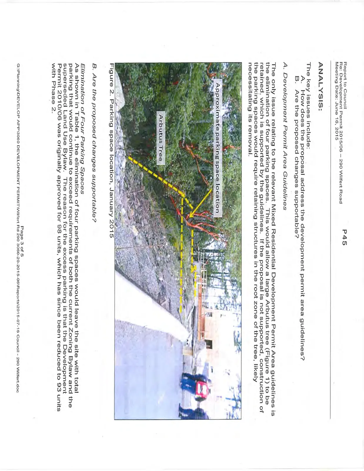 Figure 2. Parking space location, January 2015 photograph identifying Arbutus Tree and approximate parking space location