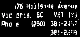 Detail of the surveyor's address and contact information snippet