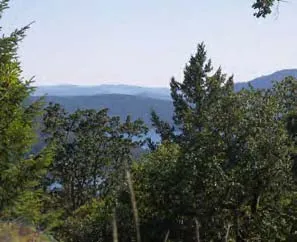 A wide landscape view of forested mountains and valleys