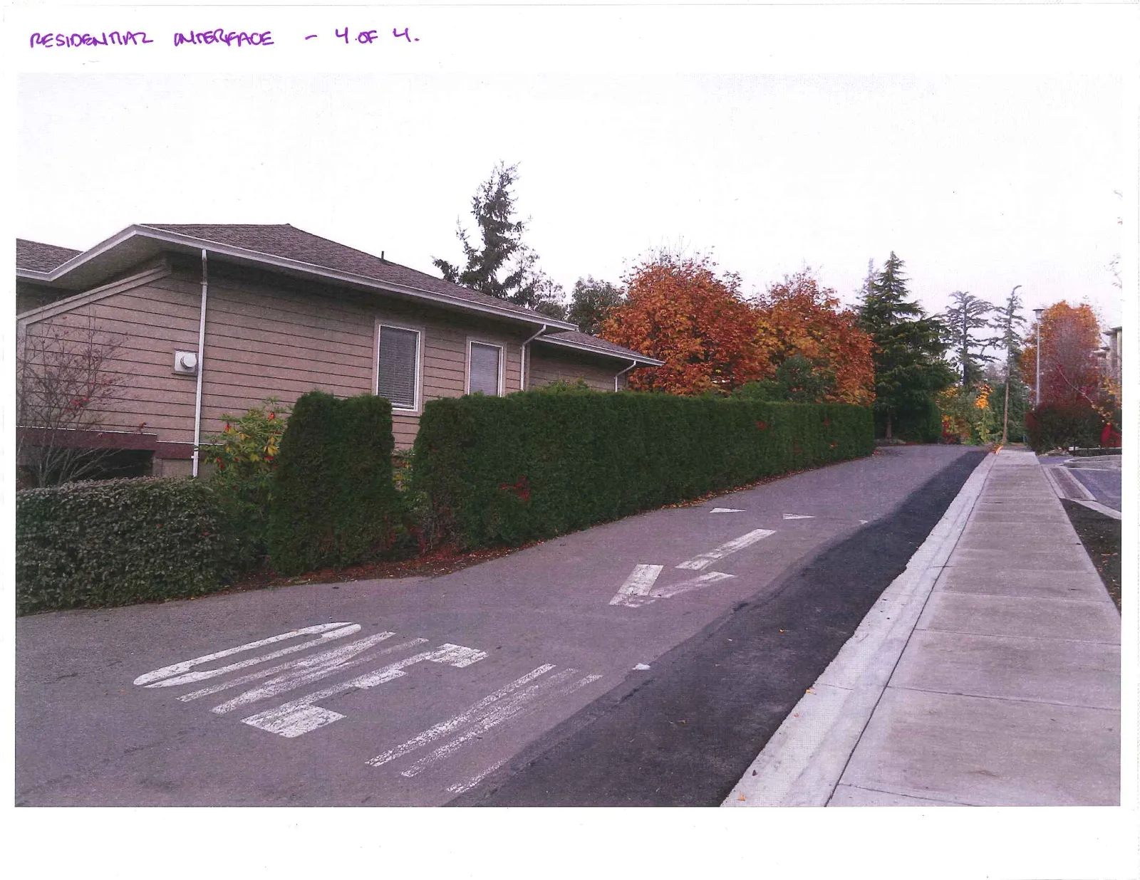 Perspective view looking down the one-way private road alongside the residential units and a tall hedge.