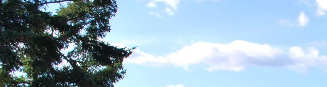 Sky and clouds over a forested shoreline