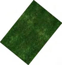 Detailed landscape plan showing amenities like play structures, woodland path, multi-use lawn, and naturalized planting.
