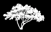 Smaller deciduous tree graphic symbol used in sections and site plan