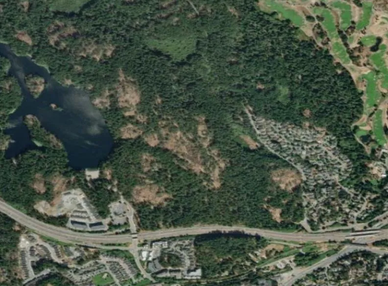 Aerial map showing a neighborhood bordering a forested area with red and yellow highlights
