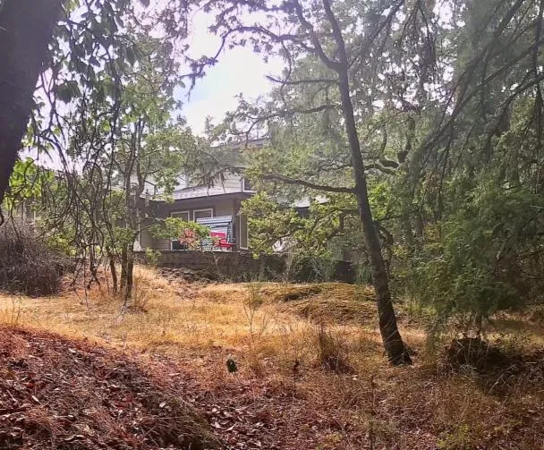 A house viewed from a backyard area with no fence bordering a wooded area