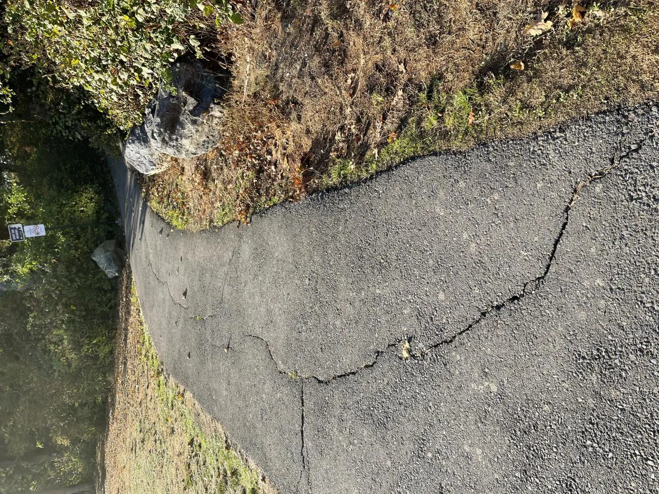 Close-up view of a cracked asphalt walking path