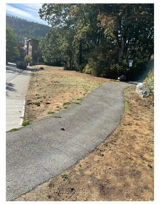 Paved pathway alongside a grassy area near residential buildings