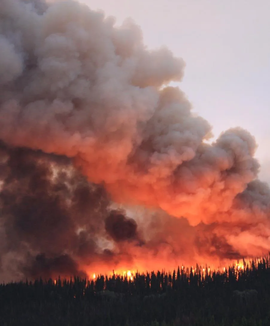 Large forest fire with intense orange flames and a massive plume of smoke