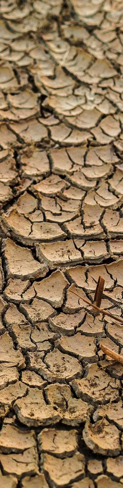 Close-up of parched, dry earth with deep cracks.