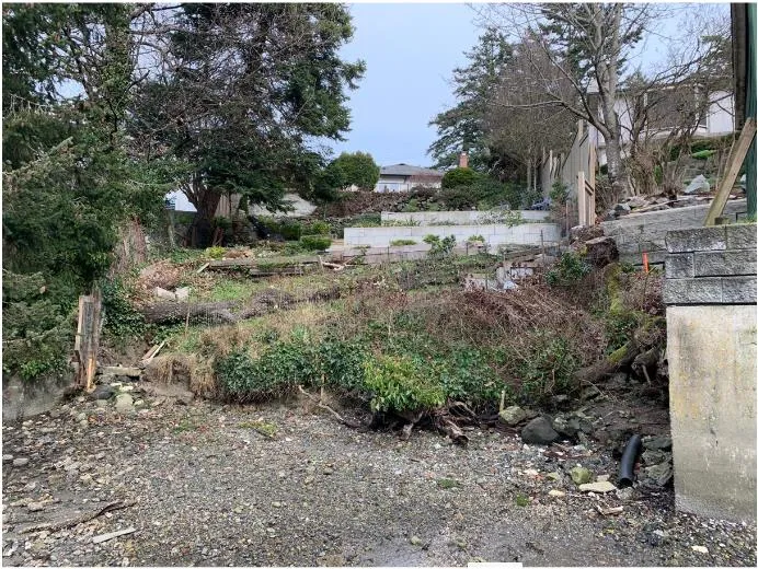 Site Context photo from foreshore looking upland