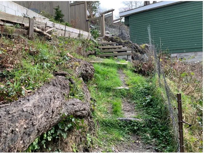 Existing slope conditions and pathway photo