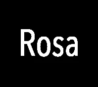Rosa nootkatensis photo