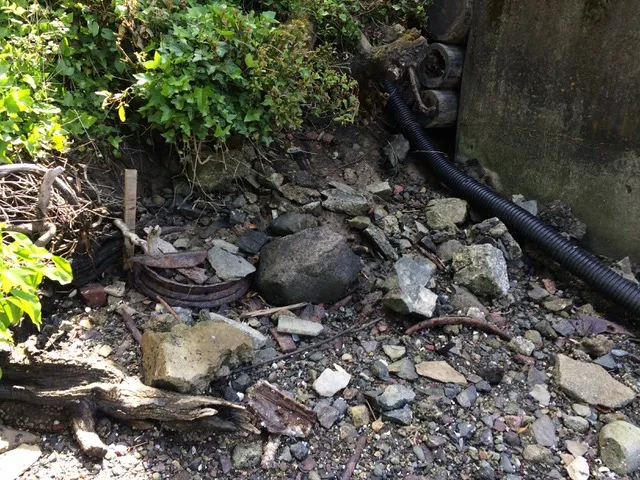 Photo 3. Looking northeast towards the eroding shoreline and 15m DPA of 297 View Royal Ave. and protruding concrete seawalls on adjacent properties. Perimeter drain-pipe (black) extends onto shoreline (right).