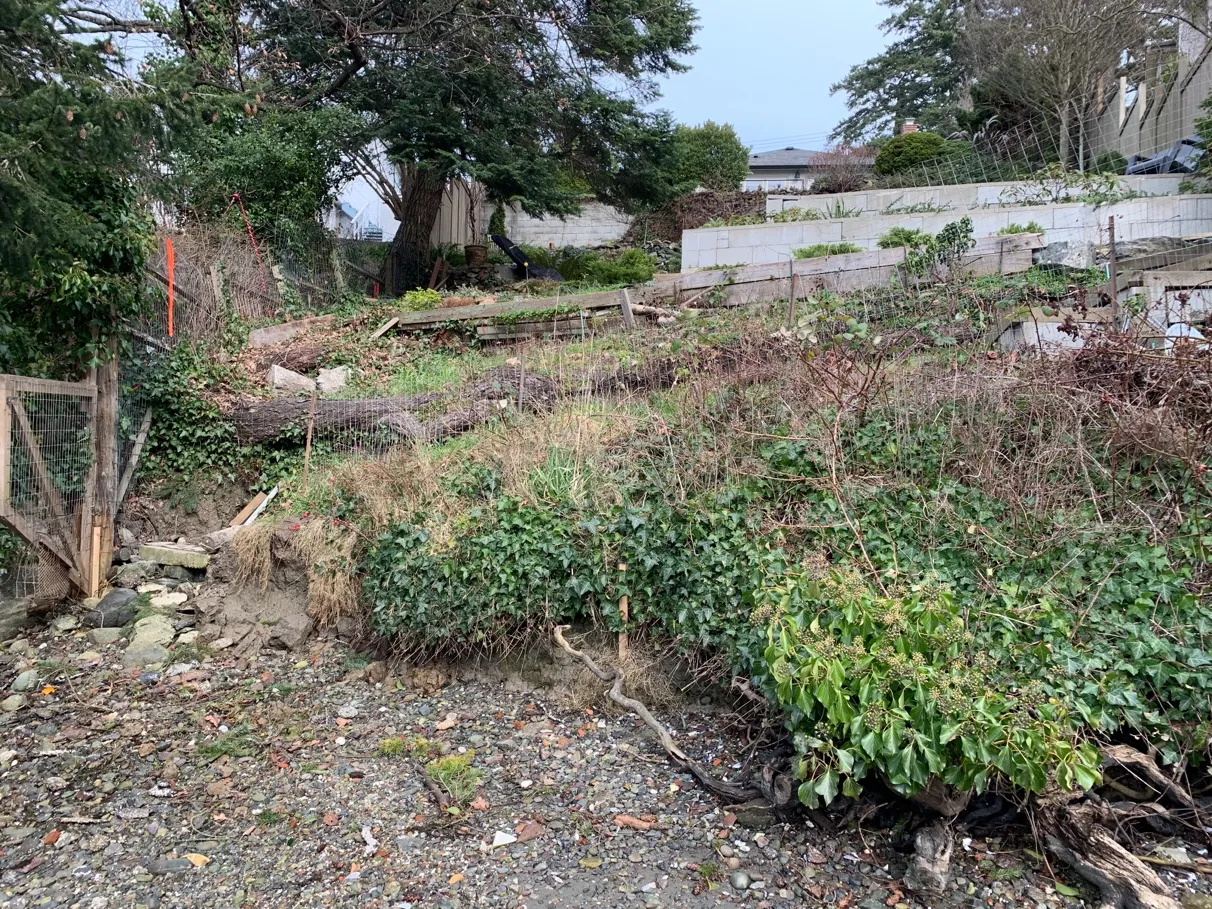 Photo 4. Perimeter drain-pipe (black) extends onto shoreline (right) among historical debris.