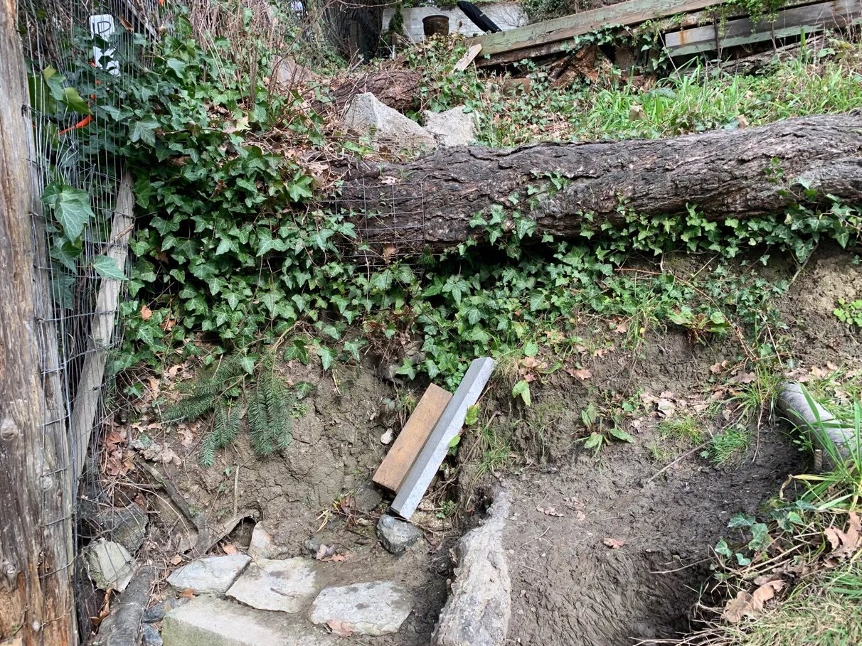 Photo 7. Existing shoreline access under the stair has been eroded and rocks added to provide access.