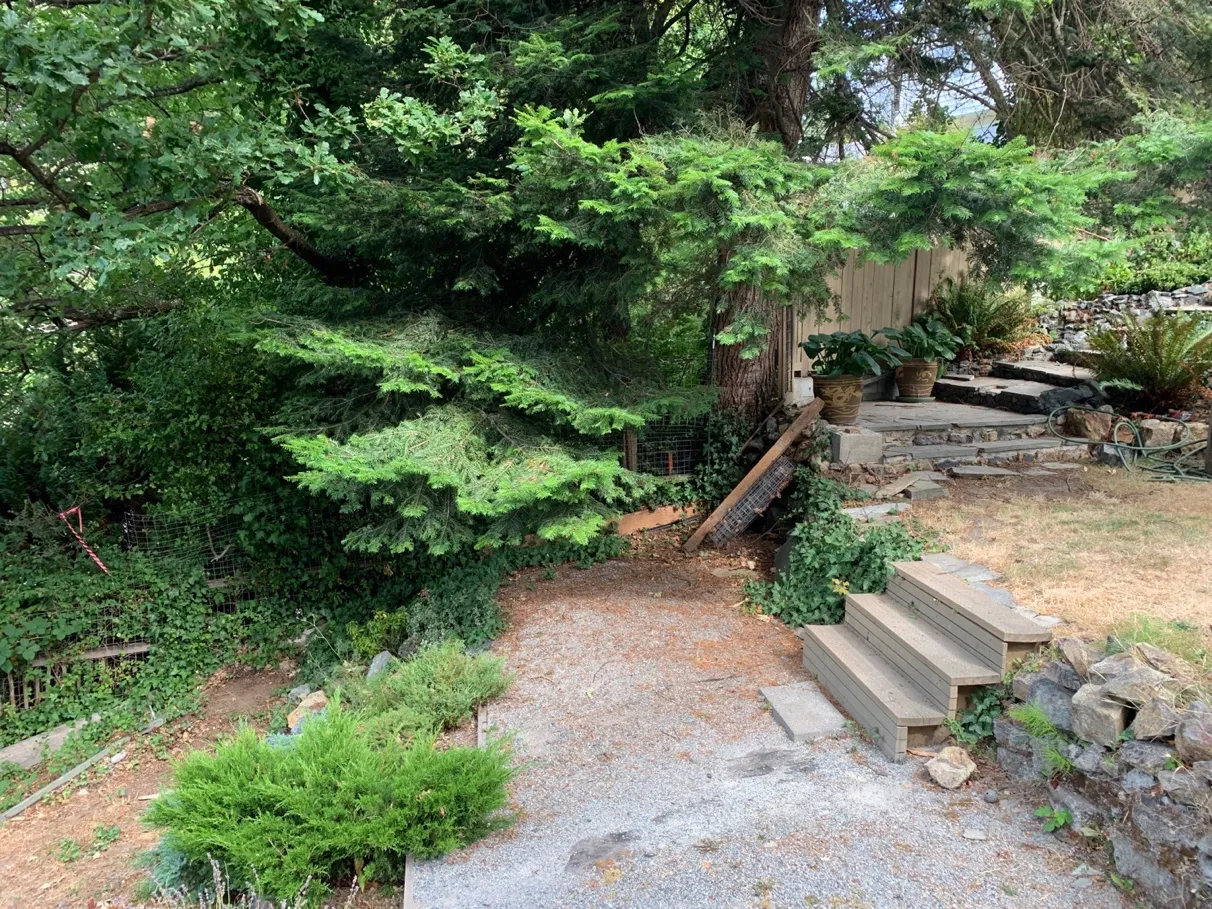 Photo 13. Existing patio in the 15m DPA with retaining walls, access path, and stairs.