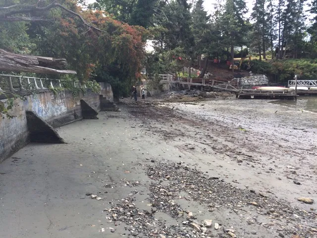 Photo 17. Looking southeast along shoreline, bedrock outcrops and concrete wall on adjacent property.