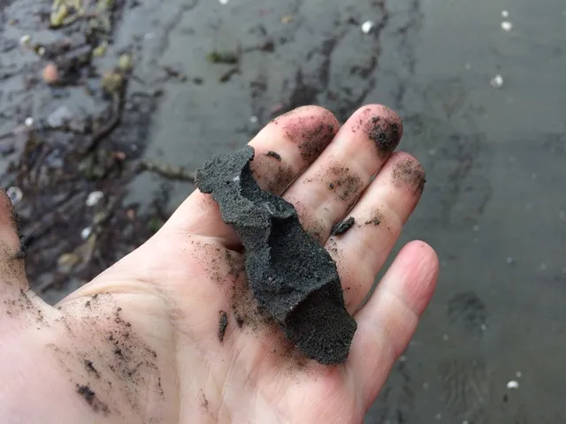 Photo 19. Beach composition at subject site: sand, gravel and cobbles in silt matrix, unsuitable for forage fish habitat.