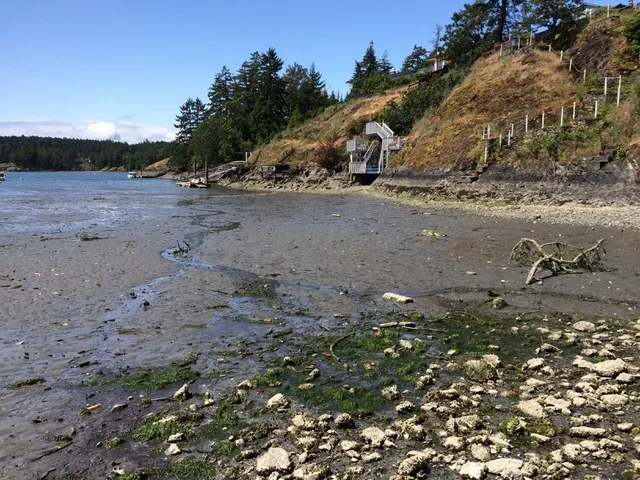 Photo 21. Extensive mudflats adjacent to subject site cover ½ of Limekiln Cove.