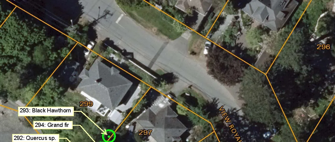 Aerial map of project site showing northern impacted trees including Black Hawthorn 293, Grand fir 294, and Quercus sp. 292.
