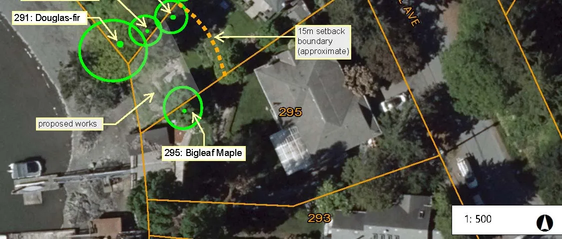 Aerial map of project site showing southern impacted trees including Douglas-fir 291 and Bigleaf Maple 295, along with the 15m setback boundary.