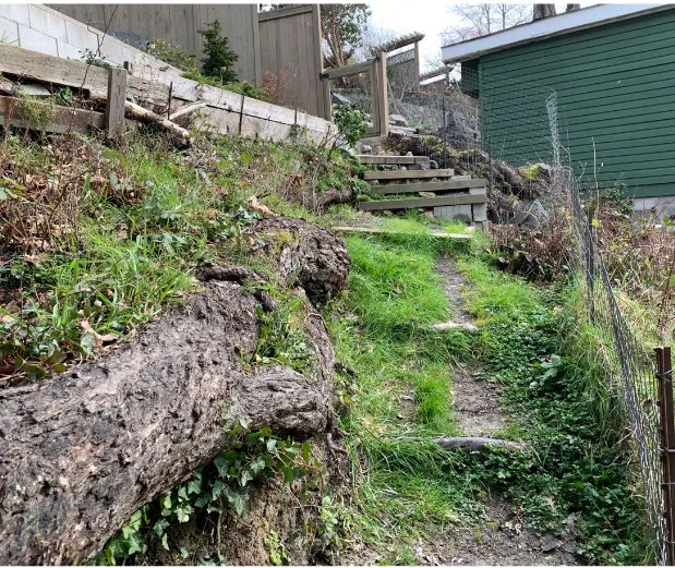 Photograph of the existing shoreline at the property with a decaying wooden retaining wall and shoreline debris