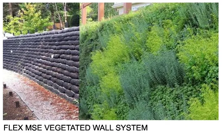 Reference photo of a FLEX MSE vegetated wall system