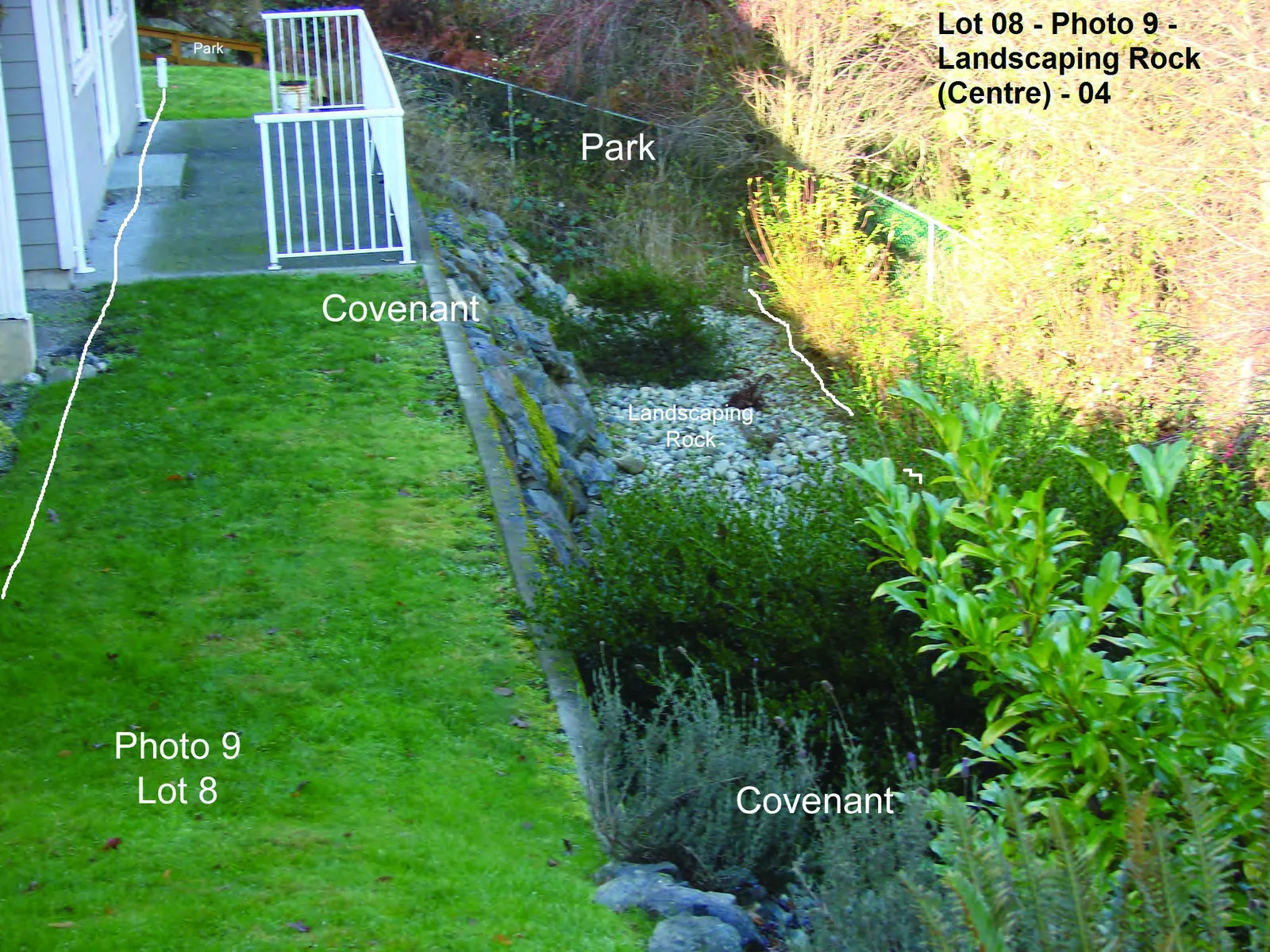 Photograph of a stone wall and surrounding vegetation within the covenant area of Lot 8