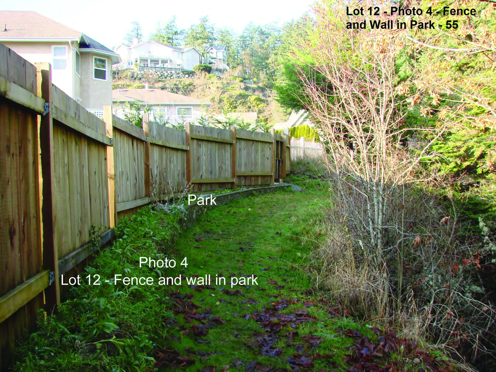 View from Photo Station 2 showing a manicured lawn and garden beds within the Lot 11 covenant area