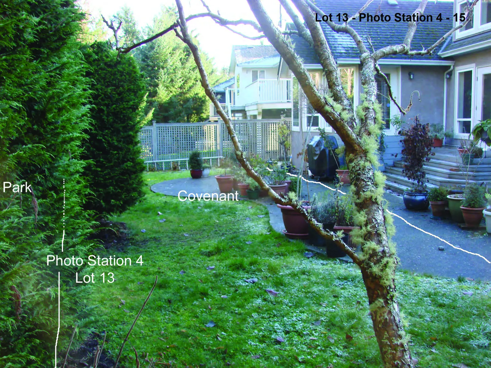 Photograph of a large cedar hedge and stone wall marking the boundary between the Lot 13 covenant and the park