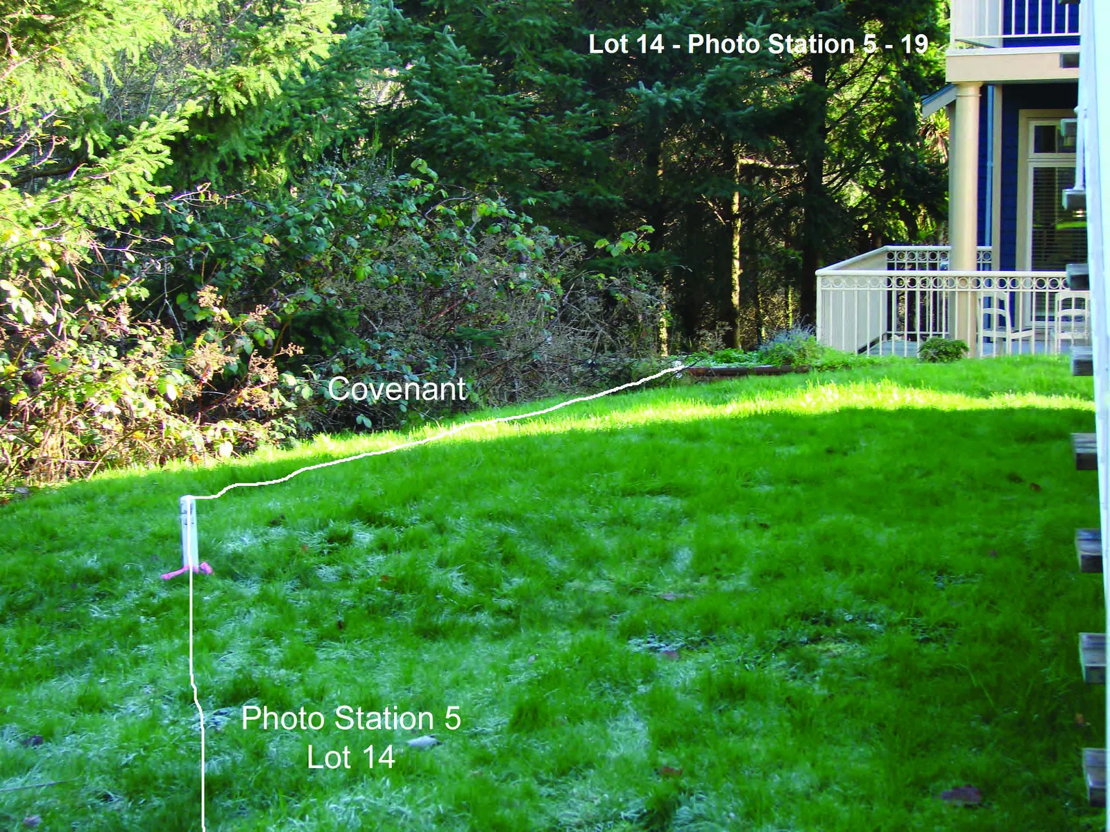 Close-up photograph of native forest edge vegetation within the Lot 14 covenant